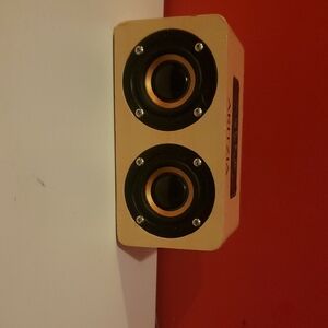 Aritzia Limited Edition Portable Speaker